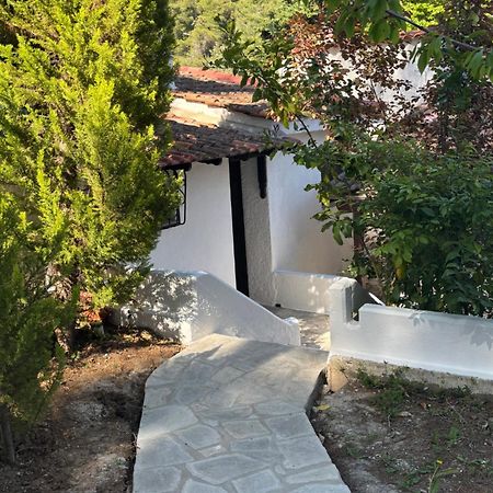 Sani Garden House Villa Dış mekan fotoğraf