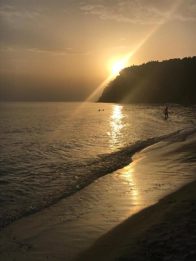 Sani Garden House Villa Dış mekan fotoğraf