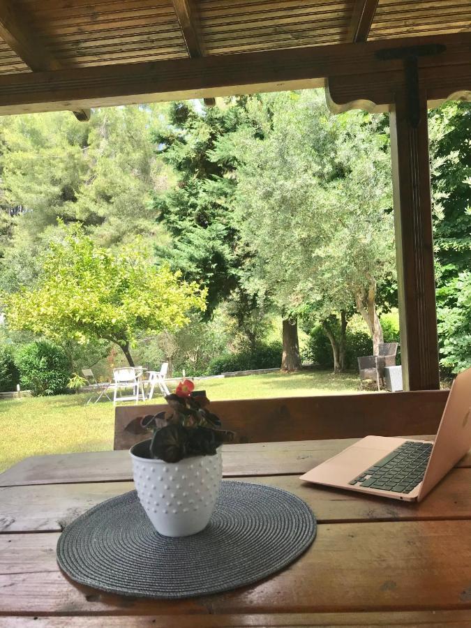 Sani Garden House Villa Dış mekan fotoğraf